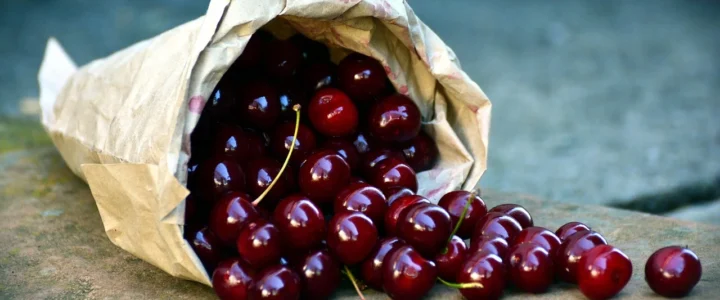 Zbiorniki na deszczówkę — oszczędność i wsparcie dla oczyszczalni